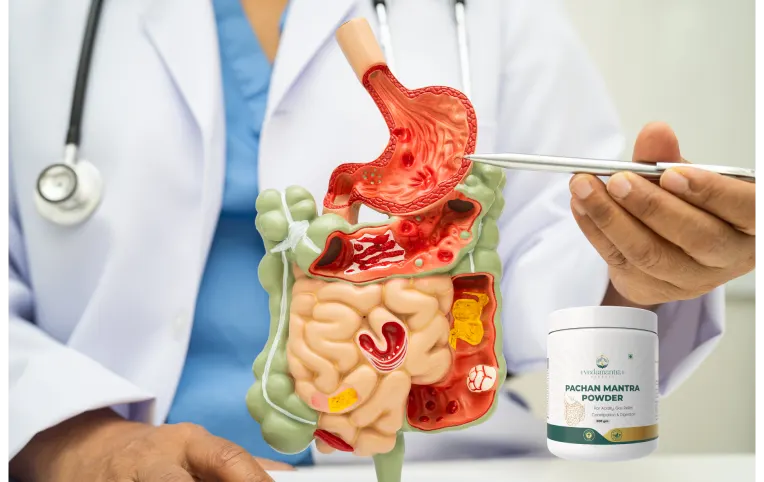 Digestive Health